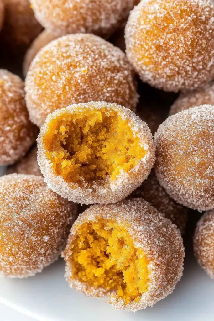 Pumpkin Donut Holes in the Air Fryer Oven