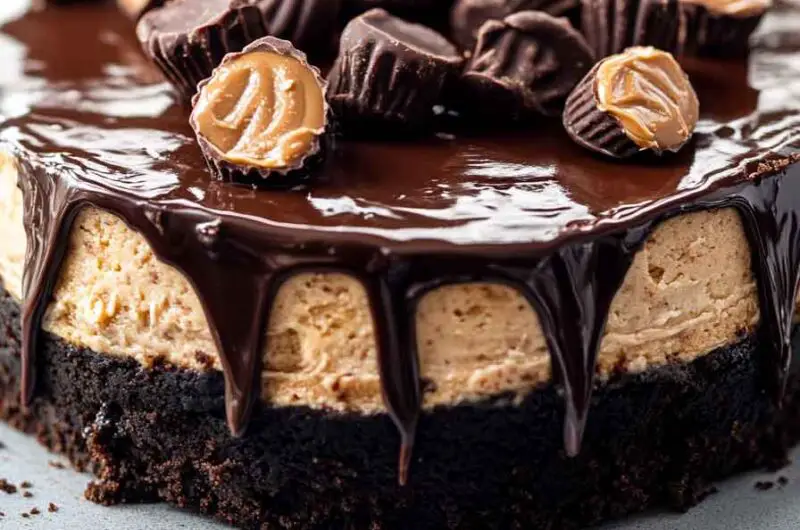 Peanut Butter Cup Cheesecake