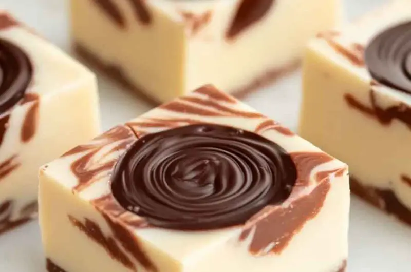 Moose Tracks Fudge Recipe