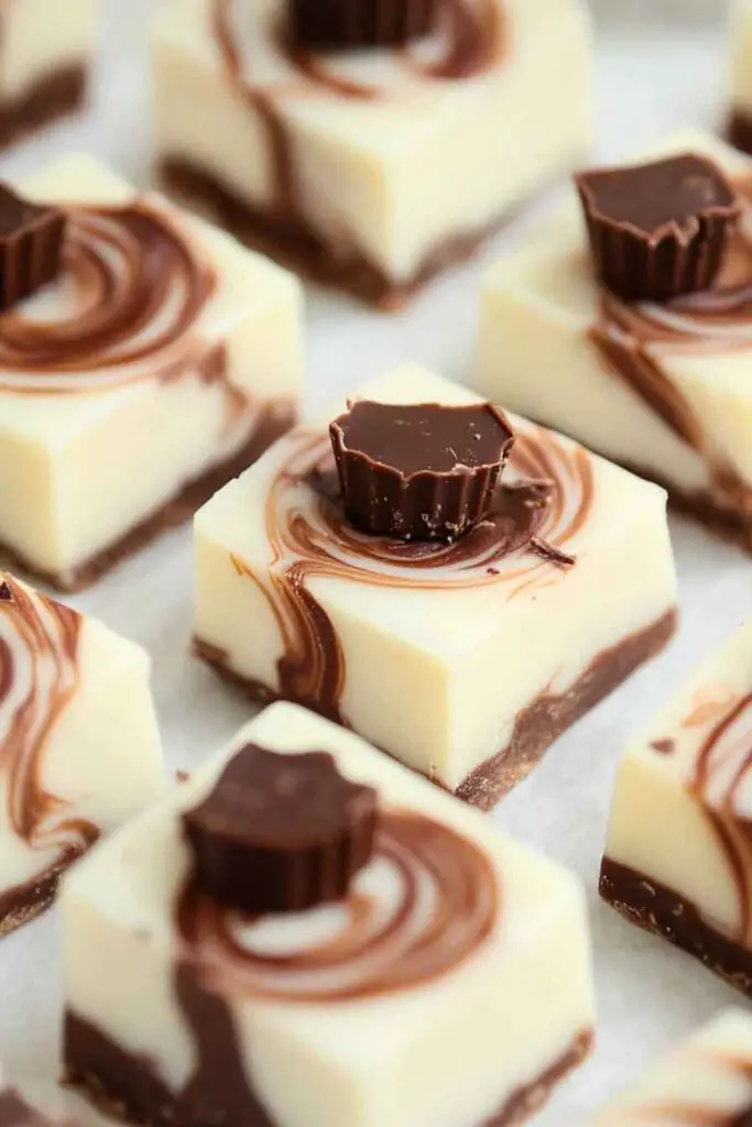 Moose Tracks Fudge Recipe